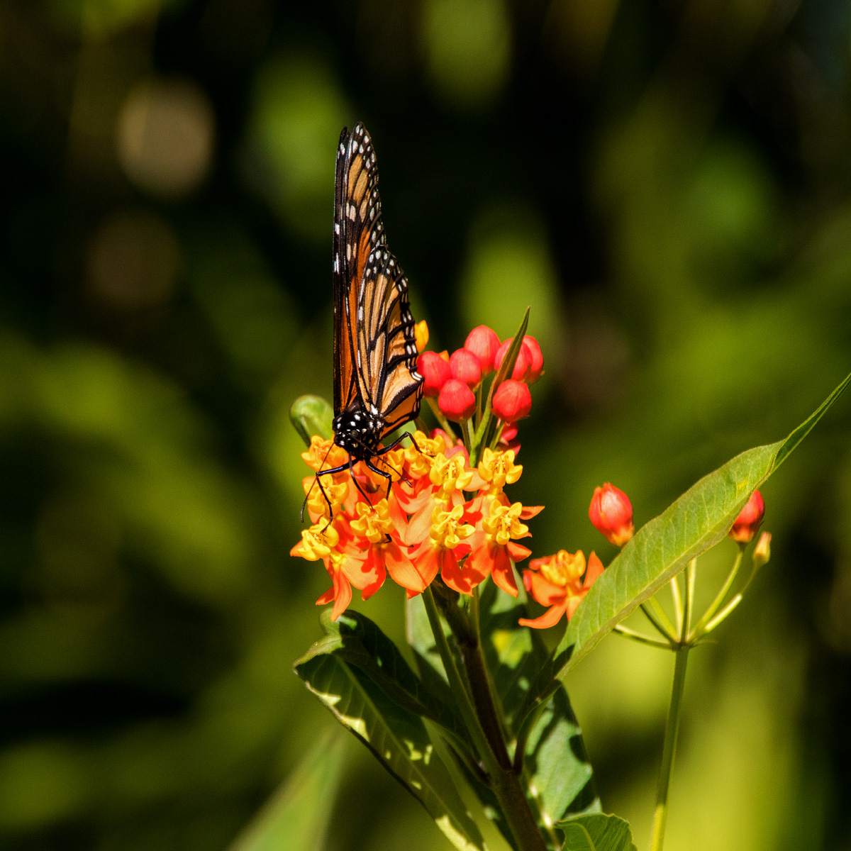 Refuelling - Brian Moyse